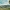 Mountainbiker auf Bergwiese mit Aussicht ins Tal